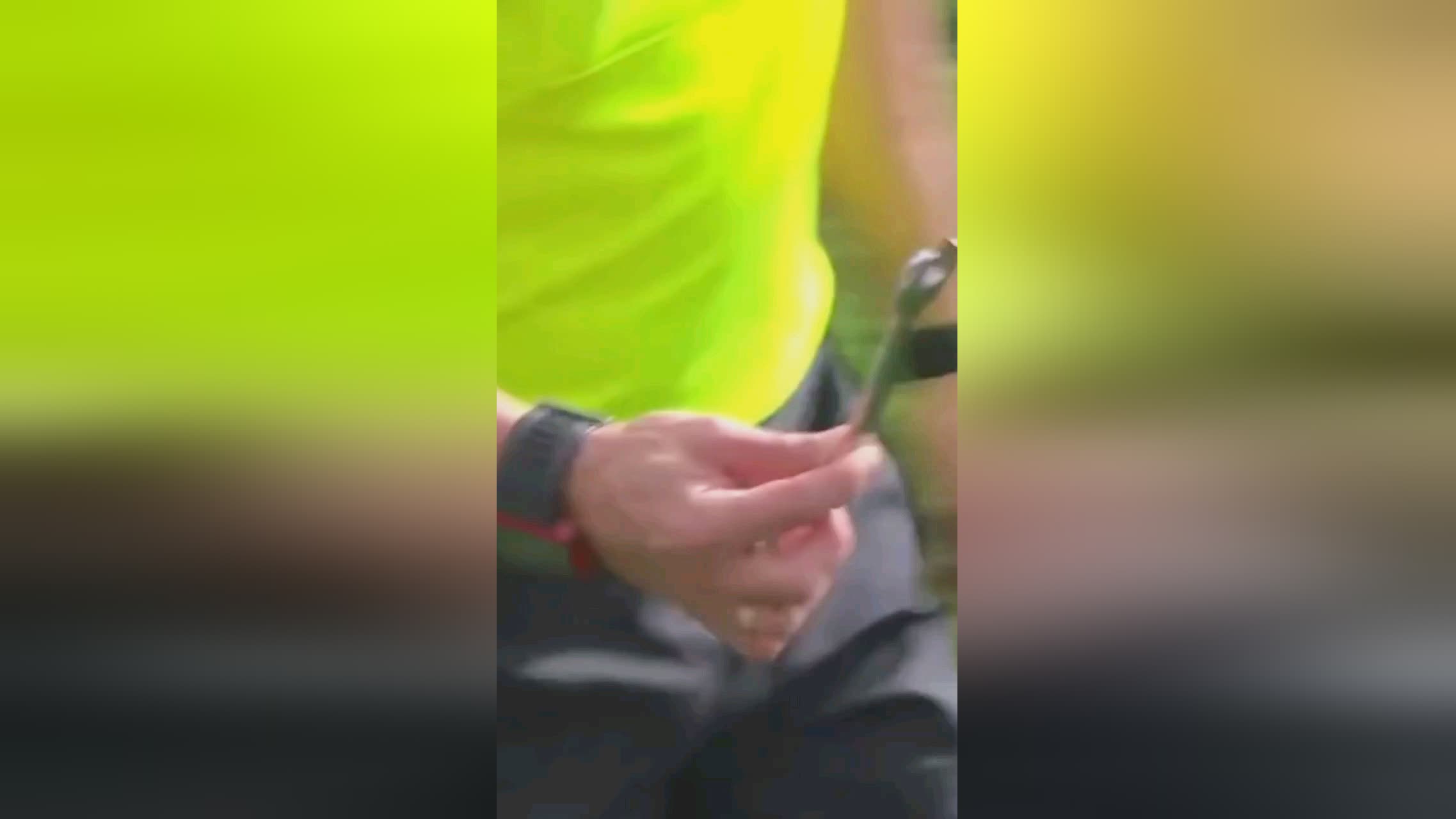 展现出色